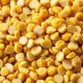 Chana Dal Suppliers In Chhattisgarh