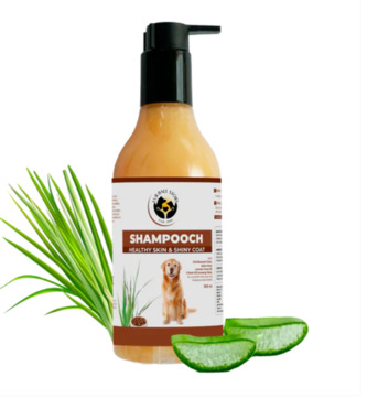 Gurgaon, Pet Sitting, Clean Coat, Happy Dog