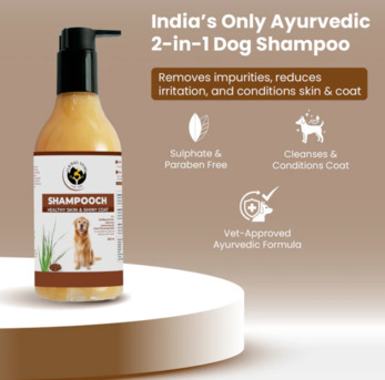 Gurgaon, Pet Sitting, Clean Coat, Happy Dog