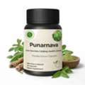 INR 399,  Punarnava Capsules &ndash; Natural Kidney & Detox Support
