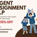 Need Fast Solutions? Get Urgent Assignment Help Today