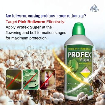 Hyderabad, Farm & Garden, INR 500,  Gallent EG Plant Growth Regulators For Farming | NACL Industries