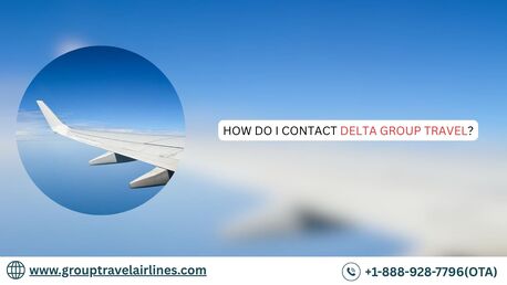 New York, Travel, How Do I Contact Delta Group Travel?