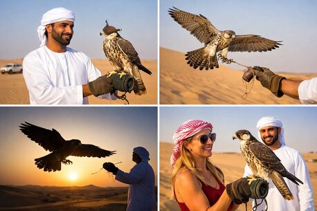 Sharjah, Travel, Epic Falconry Experience Dubai Desert Safari Tour | Book Now