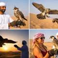 Epic Falconry Experience Dubai Desert Safari Tour | Book Now