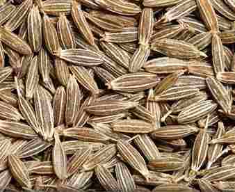 Mumbai, Wholesale Products, Cumin Seeds Suppliers In India