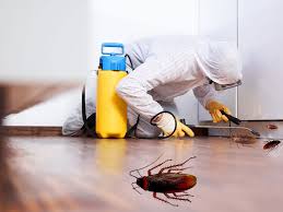 Dubai, Cleaning, Is Eco Guardians The Most Reliable Choice For Pest Control Services Dubai?