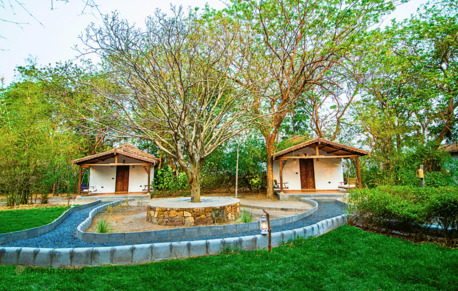 Ahmedabad, Travel, Little Rann Of Kutch Wildlife Sanctuary | Wild Ass Sanctuary Gujarat