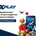 Big Match Buzz: Smart Cricket Insights For Players On 11xplay