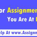 How To Choose The Right Assignment Expert In Sydney