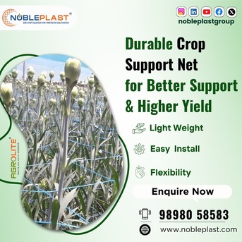 Madurai, Farm/Garden, UV Resistant Bird Net For Reliable Crop Protection