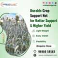 UV Resistant Bird Net For Reliable Crop Protection