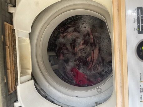 Jeddah, Electronics, SAR 200,  Hommer 5kg & Samsung 8 Kg Washing Machines For Sale
