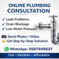 Online Plumbing Consultation For Expats &ndash; Fast & Reliable Help