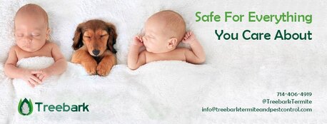 Los Angeles, Pest Control, Treebark Termite And Pest Control