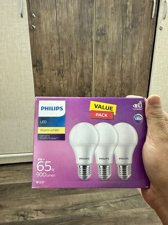Al Murabba, Household Items, SAR 20,  Urgent Sale-Philips Light