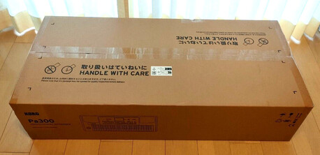 New York, Musical Instruments, USD 600,  Korg PA300 61-Key Professional Arranger