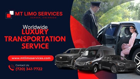 Dallas, Automotive, Mt Limousine Worldwide