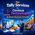 Top Tally Services By Cevious Technologies To Boost Business Growth