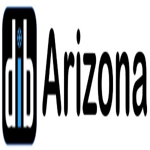 New York, Business, Arizona Dry Ice Blasting