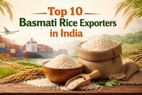 Haryana, Food, INR 200,  Top 10 Basmati Rice Exporters In India - Shree Krishna Exports
