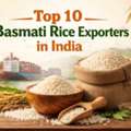 INR 200,  Top 10 Basmati Rice Exporters In India - Shree Krishna Exports