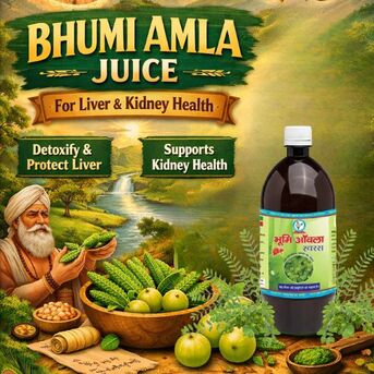 Haryana, Health & Beauty Items, INR 680,  Buy Bhumi Amla Juice For Liver & Kidney Health | Bharat Gram Udyog Sangh