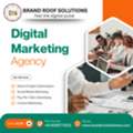 Leading Digital Marketing Company In South Delhi | Brand Roof Solutions