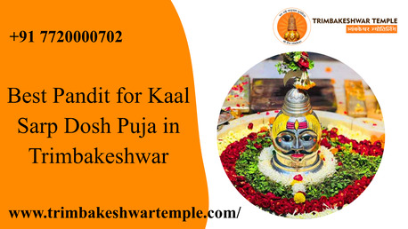 Mumbai, Career Counseling, Kaal Sarp Dosh Puja Muhurat | Kulik Kaal Sarp Dosh