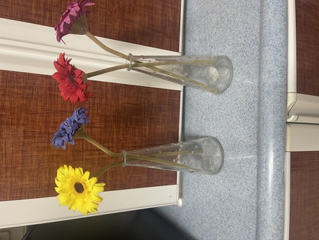 Jubail, Household Items, SAR 25,  A Vase With Roses, 25 Riyals, IKEA.