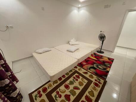 Tabuk City, Apartments/Houses, SAR 1300/month,  2 BR,  Sar 1300 / Month 2 Bedroom Flat For Rent With House Holds.