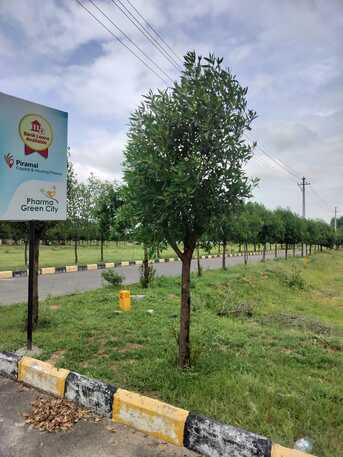 Hyderabad, Residential Plots, INR 12500,  150 Sq. Yard,  Presenting DTCP Approved Pharma Green City,17-acre Plotted Development