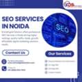 Professional SEO Services In Noida