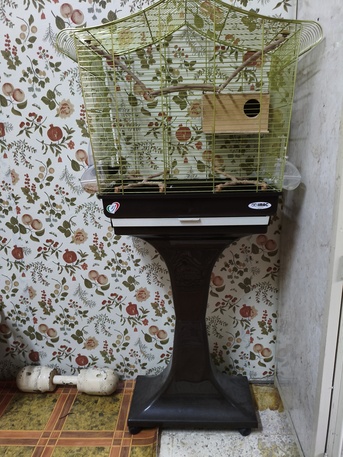 Dammam, Pet Supplies, SAR 200,  BIRD CAGE WITH MOVABLE STAND