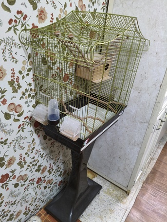 Dammam, Pet Supplies, SAR 200,  BIRD CAGE WITH MOVABLE STAND