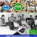 Best Website Designing Course In Patiala