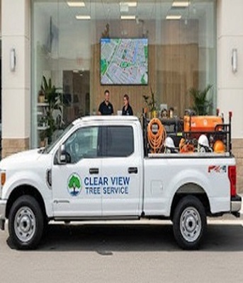 New York, Business, Clear View Tree Service