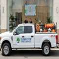 Clear View Tree Service