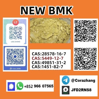 Vancouver, Free Items, USD 130,  Cas5449-12-7 BMK Glycidic Acid (sodium Salt) With High Purity