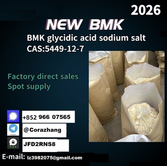 Vancouver, Free Items, USD 130,  Cas 5449-12-7 BMK Glycidic Acid (sodium Salt) With High Purity