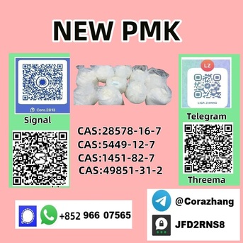 Vancouver, Free Items, USD 130,  Cas 5449-12-7 BMK Glycidic Acid (sodium Salt) With High Purity