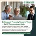 Texas Delinquent Property Taxes Guide - O'Connor