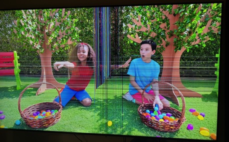 Hail, Electronics, SAR 600,  TV Samsung 65 UHD 4K Smart