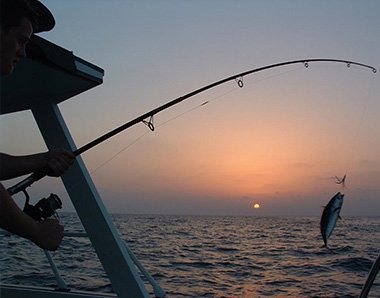 Zagreb, Business, Boat Trips From Split