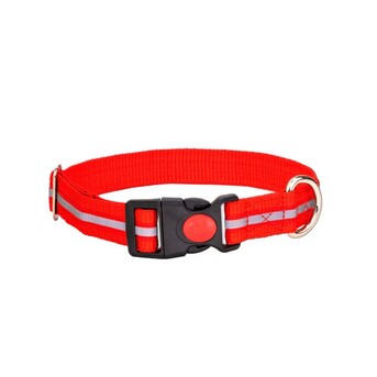 Mumbai, Pet Sitting, Reflective Dog Collar &ndash; High Visibility & Safety