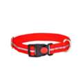 Reflective Dog Collar &ndash; High Visibility & Safety