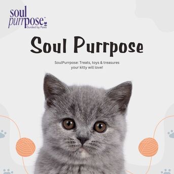 Bangalore, Food & Drink, SoulPurrpose &ndash; Buy Premium Cat Gifts & Accessories!