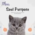 SoulPurrpose &ndash; Buy Premium Cat Gifts & Accessories!