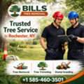 Emergency Tree Removal In Rochester, NY: Trust Bills Tree For Fast And Reliable Service