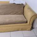 Bedd Available For Sale